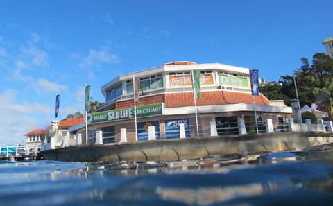 Manly SEA LIFE Sanctuary - SA Accommodation 2