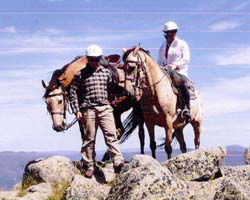 High Country Horses - SA Accommodation 3