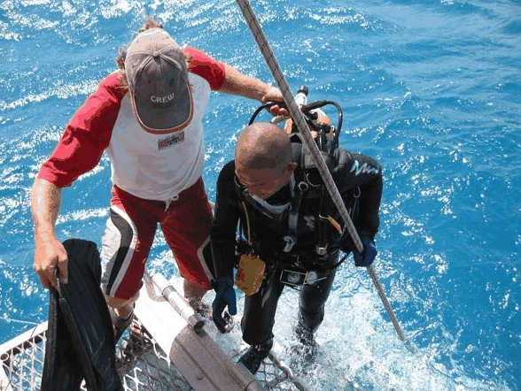 Big Cat Reality - SA Accommodation 2