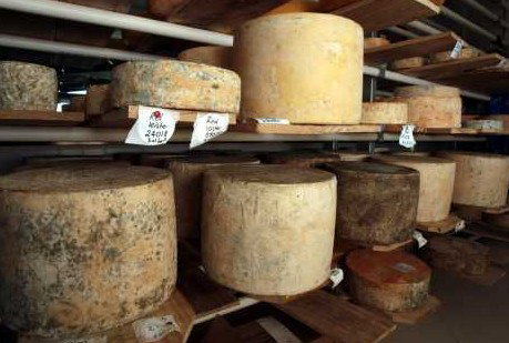 Witches Chase Cheese Co - SA Accommodation 3