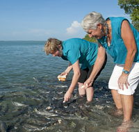 Aquascene Fish Feeding Sanctuary - SA Accommodation