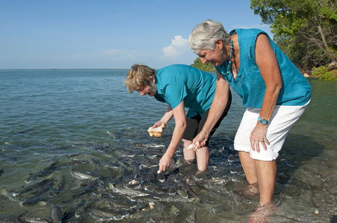 Aquascene Fish Feeding Sanctuary - SA Accommodation 0