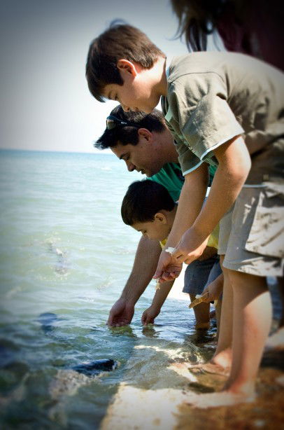 Aquascene Fish Feeding Sanctuary - SA Accommodation 3