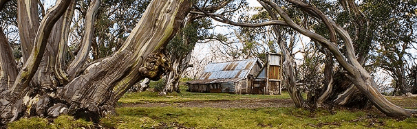 High Country Scenic Tours - SA Accommodation