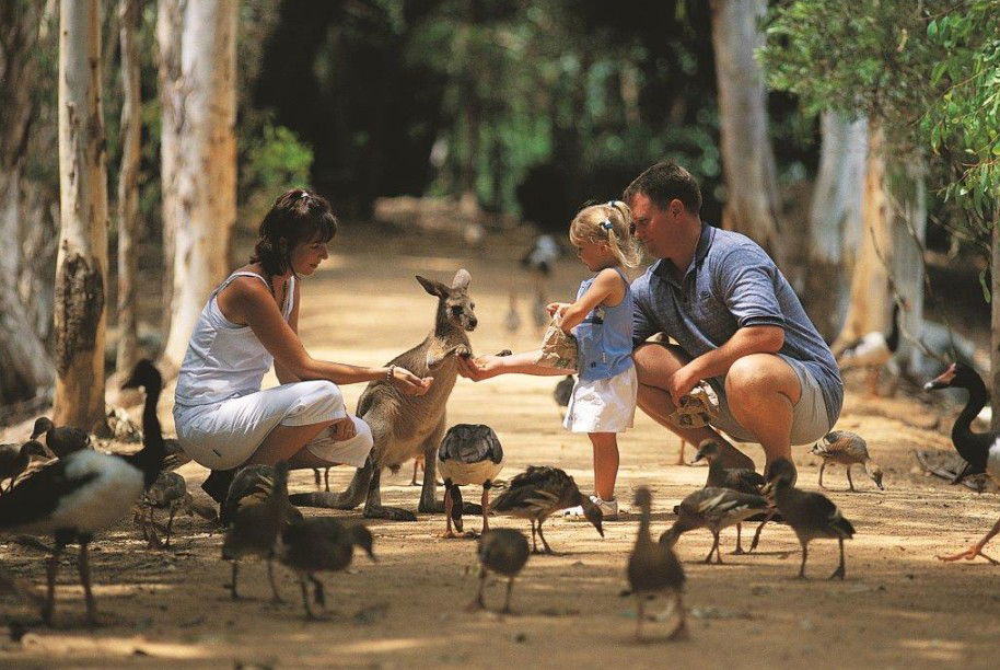 Railway Estate QLD SA Accommodation