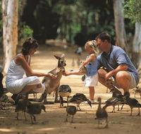 Billabong Sanctuary - SA Accommodation