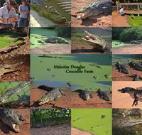 The Malcolm Douglas Crocodile Park - SA Accommodation