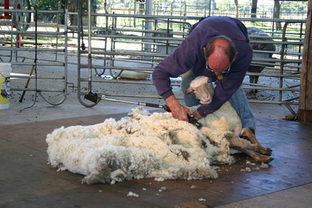 Caversham Wildlife Park - SA Accommodation 3