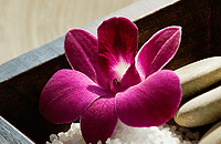Blush Beauty Saloons - SA Accommodation 4