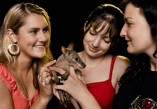 Cairns Night Zoo - SA Accommodation 1