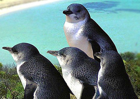 St James WA SA Accommodation