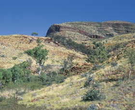  SA Accommodation