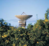 Big Dish - SA Accommodation