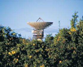Big Dish - SA Accommodation 0