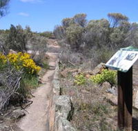 Christmas Rock Walk - SA Accommodation