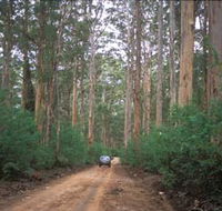 Boranup Drive - SA Accommodation