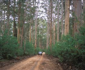 Boranup Drive - SA Accommodation 0