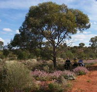 Karlkurla Bushland Park - SA Accommodation