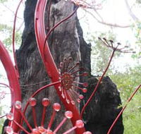 Understory Art In Nature - SA Accommodation