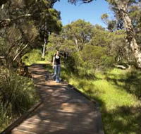 Leschenault Peninsula Conservation Park - SA Accommodation