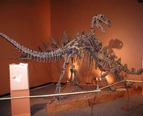 Denmark Dinosaur World - SA Accommodation 0