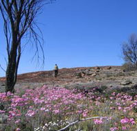 Talgomine Reserve - SA Accommodation