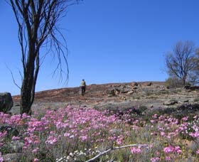 Talgomine Reserve - SA Accommodation 0