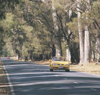Ludlow Tuart Forest - SA Accommodation