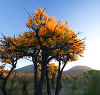 Cape Le Grand National Park - SA Accommodation