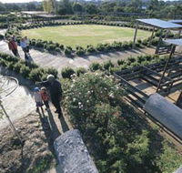 Kojonup Rose Maze - SA Accommodation