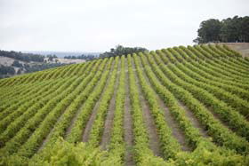 Crooked Brook WA SA Accommodation