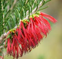 Ethel Daw Scenic Drive - SA Accommodation