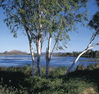 Celebrity Tree Park - SA Accommodation