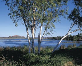Celebrity Tree Park - SA Accommodation 0