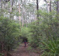 Margaret River Rails Trail - SA Accommodation