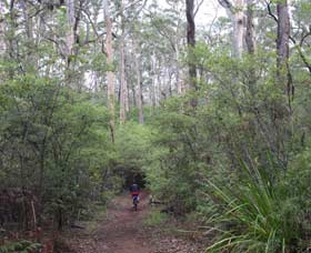 Margaret River Rails Trail - SA Accommodation 0