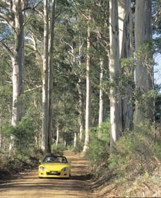 Scotsdale Tourist Drive - SA Accommodation 0