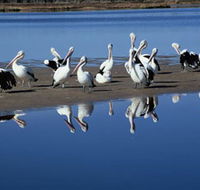Peel Region Canoe Trails - SA Accommodation