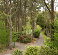 Mount Lofty Botanic Garden - SA Accommodation