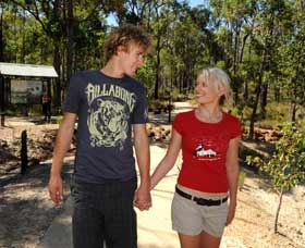 Crooked Brook Forest - SA Accommodation 0