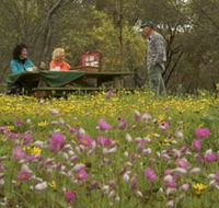 Gwambygine Park - SA Accommodation