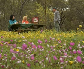 Gwambygine Park - SA Accommodation 0