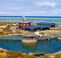 Ocean Park Aquarium - SA Accommodation