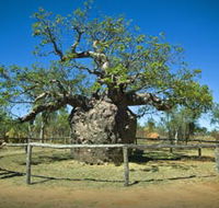 Pigeon Heritage Trail - SA Accommodation