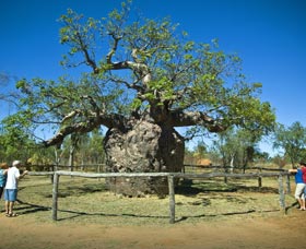 Pigeon Heritage Trail - SA Accommodation 0