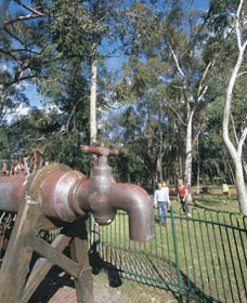 Mundaring Community Sculpture Park - SA Accommodation 0
