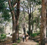 Law Trail and Lotterywest Federation Walkway Kings Park - SA Accommodation