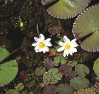 Parry Lagoons Nature Reserve - SA Accommodation