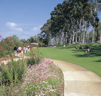 Kings Park Free Guided Walks - SA Accommodation