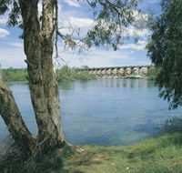 Bandicoot Bar - SA Accommodation